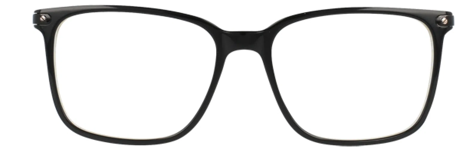 Via Spiga VSPalmira Eyeglasses - view 14